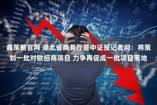 鑫策略官网 湖北省商务厅答中证报记者问：将策划一批对欧招商项目 力争再促成一批项目落地