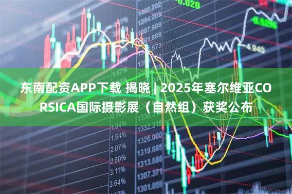 东南配资APP下载 揭晓 | 2025年塞尔维亚CORSICA国际摄影展（自然组）获奖公布